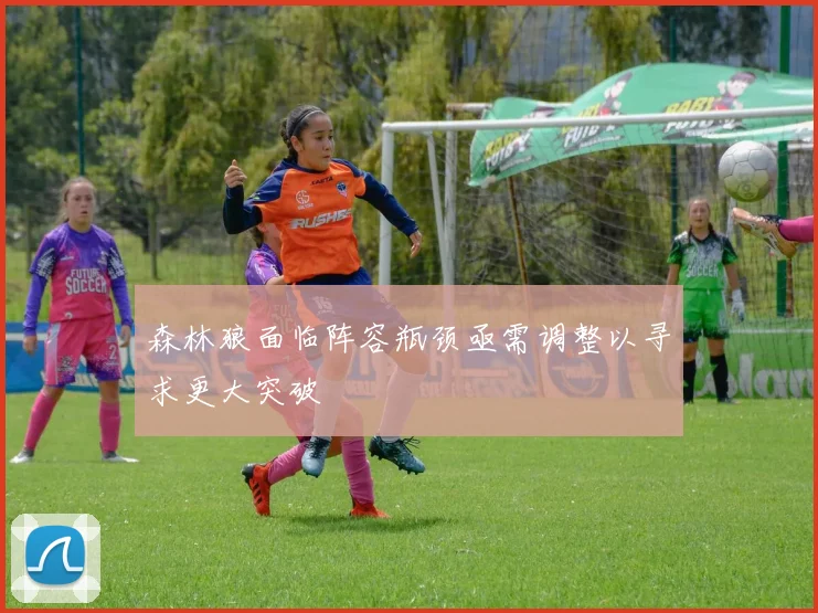 森林狼面临阵容瓶颈亟需调整以寻求更大突破